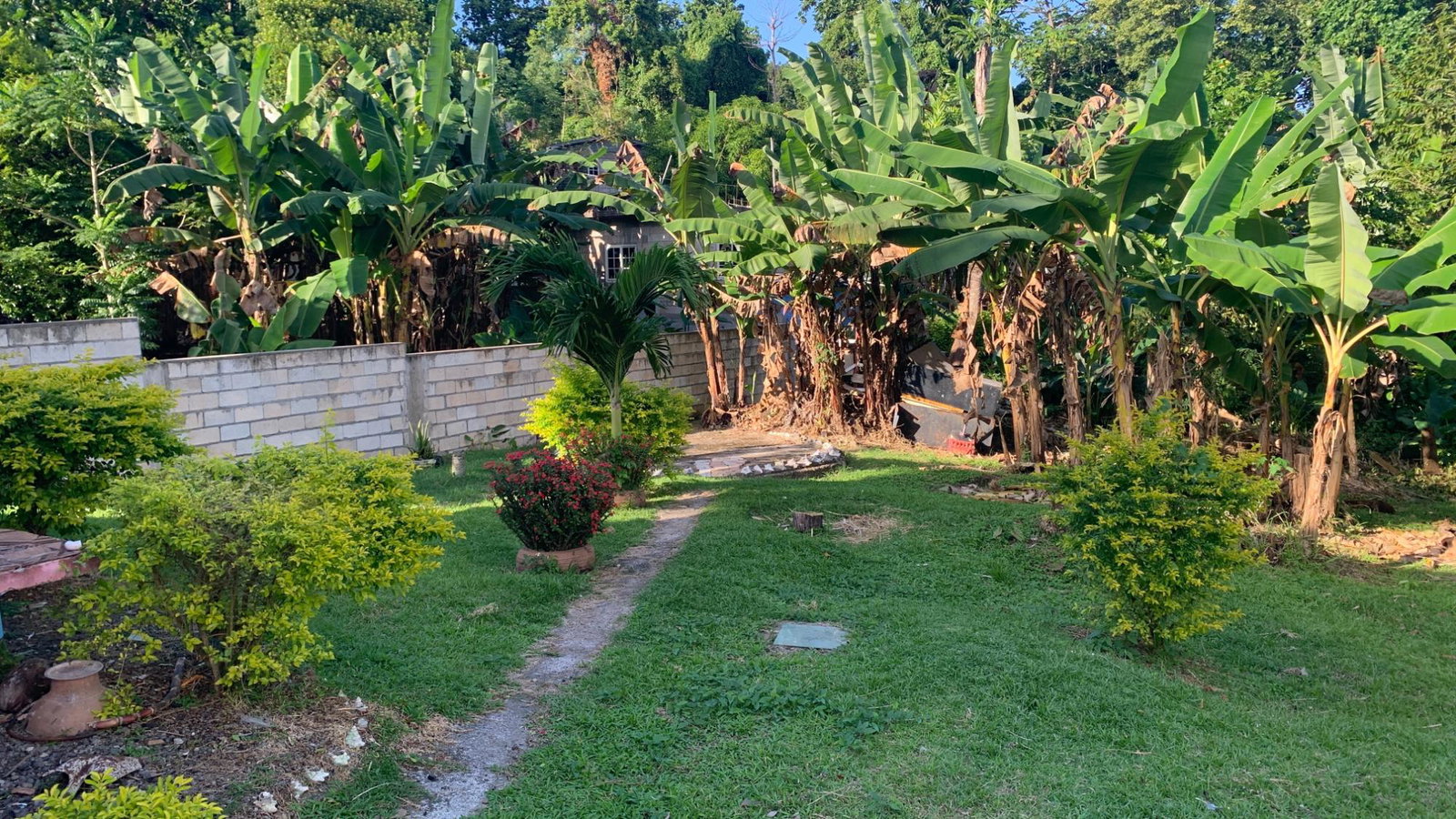 Fifth image of Part of Norwich in Port Antonio, Portland, Jamaica - property is For Sale
