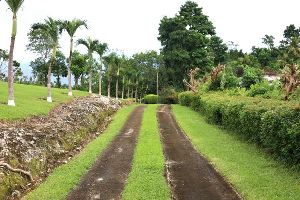 Third image of 4 & 5 Norwich, Portland in Port Antonio, Portland, Jamaica - property is For Sale