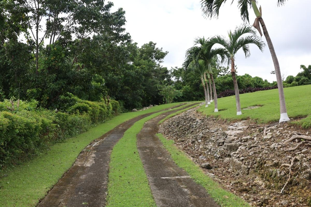 Twenty-Fourth image of 4 & 5 Norwich, Portland in Port Antonio, Portland, Jamaica - property is For Sale