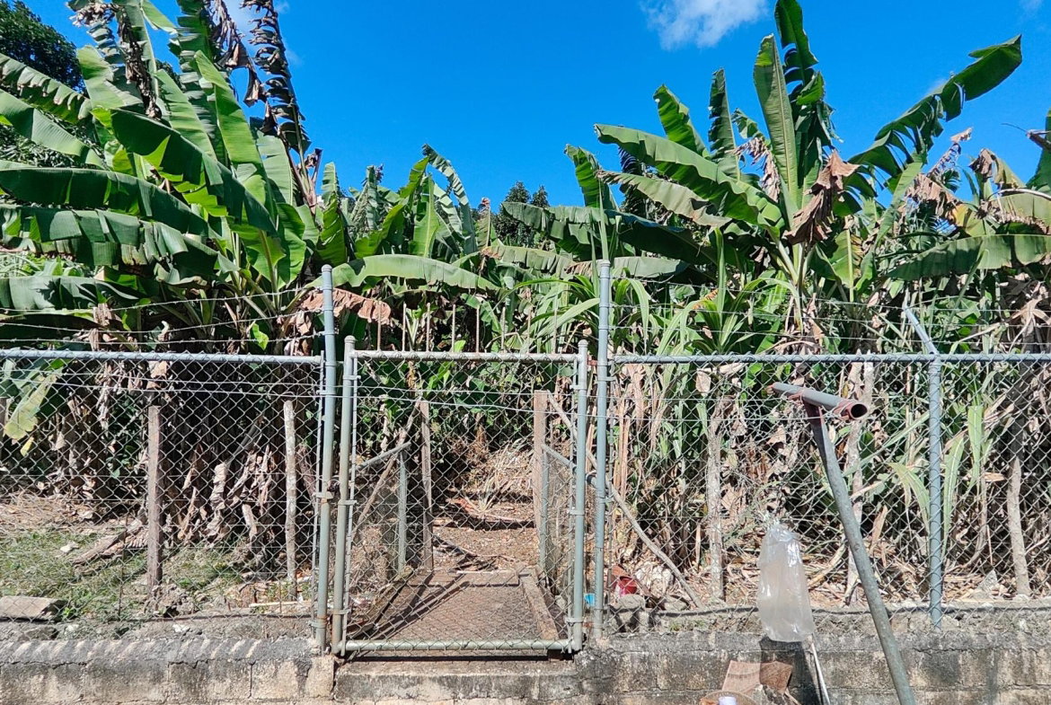 Thirteenth image of Stanfast Brown Town in Browns Town, St. Ann, Jamaica - property is For Sale