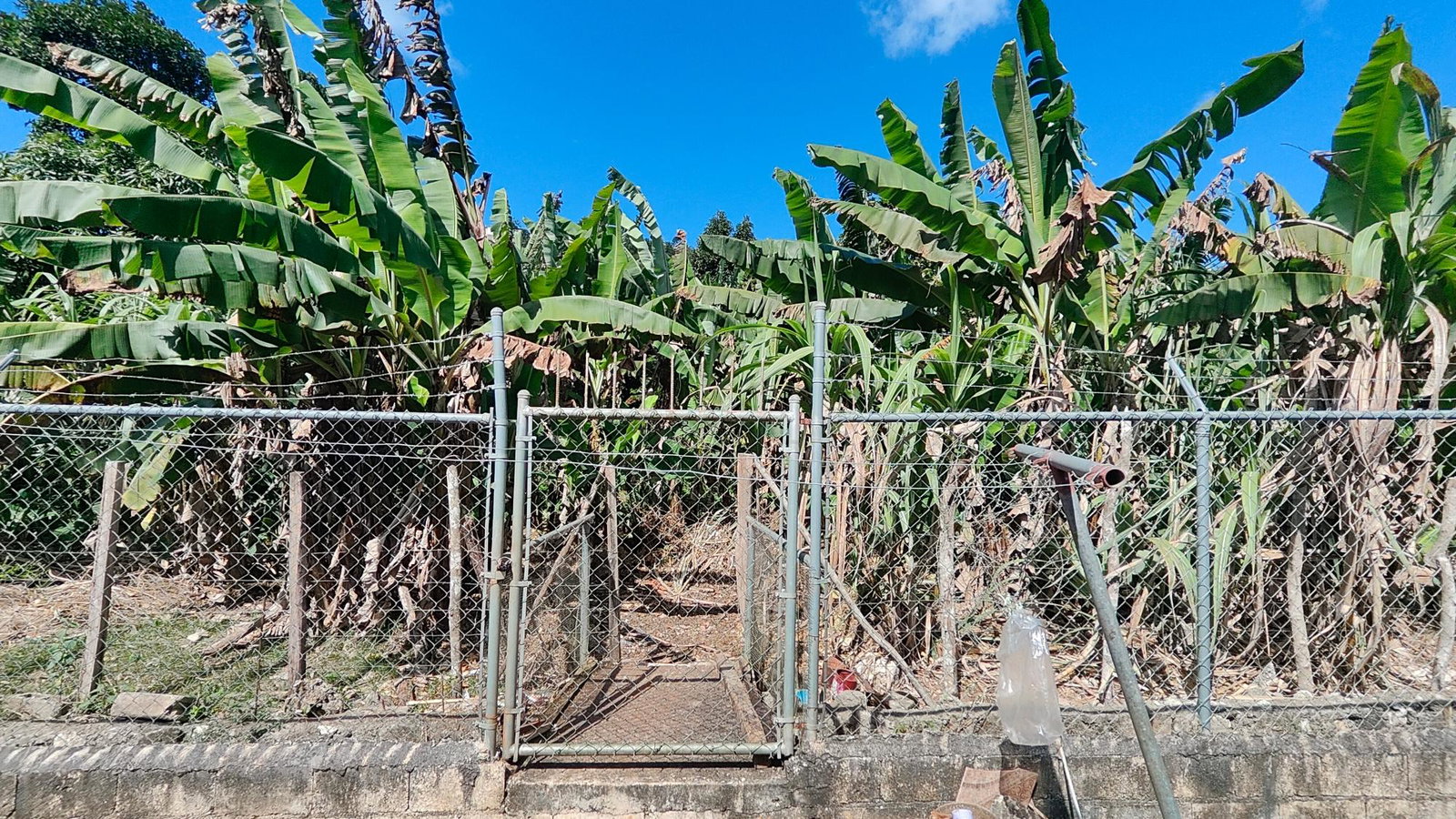 Thirteenth image of Stanfast Brown Town in Browns Town, St. Ann, Jamaica - property is For Sale
