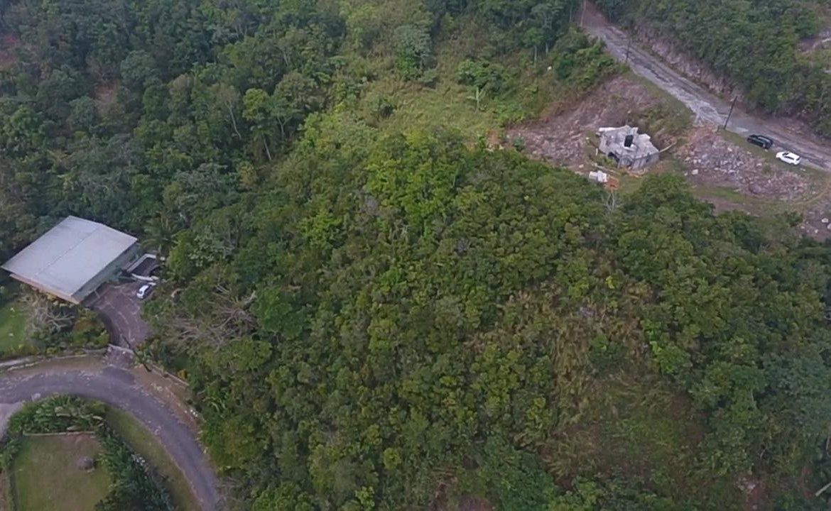 Third image of 17b Abraham Road Coopers Hill in Red Hills, St. Andrew, Jamaica - property is For Sale