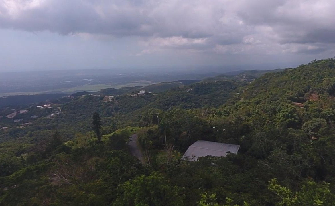 Eighth image of 17b Abraham Road Coopers Hill in Red Hills, St. Andrew, Jamaica - property is For Sale