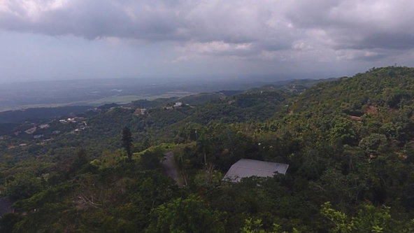 Eighth image of 17b Abraham Road Coopers Hill in Red Hills, St. Andrew, Jamaica - property is For Sale