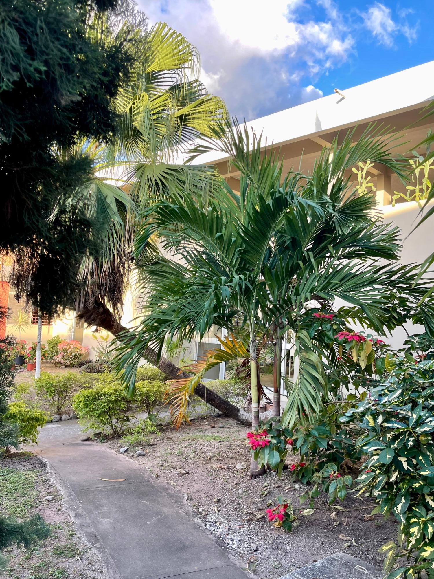 Twenty-Fifth image of 4c-82 Red Hills Road in Kingston 20, St. Andrew, Jamaica - property is For Rent