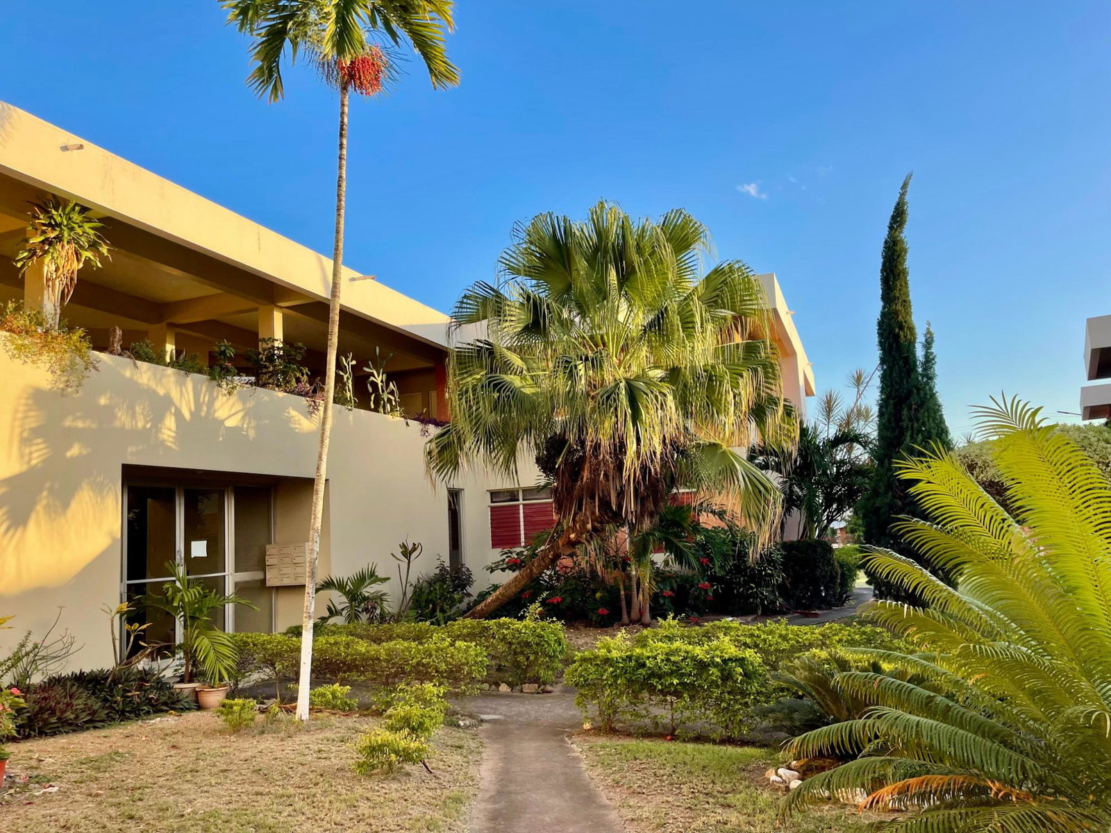 Fourth image of 4c-82 Red Hills Road in Kingston 20, St. Andrew, Jamaica - property is For Rent