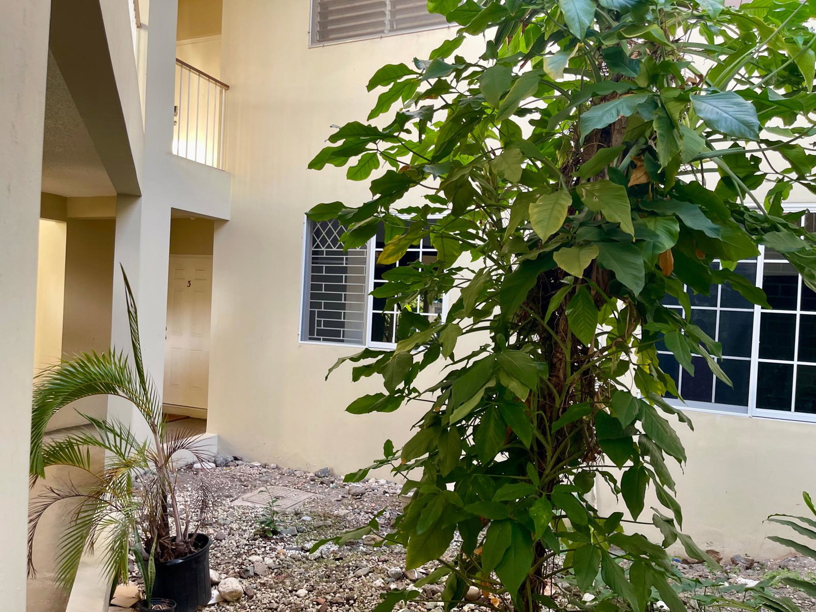 Fifth image of 4c-82 Red Hills Road in Kingston 20, St. Andrew, Jamaica - property is For Rent