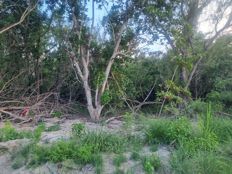 Eleventh image of 59-90 Mahoe Bay, St. James in Mahoe Bay, St. James, Jamaica - property is For Sale