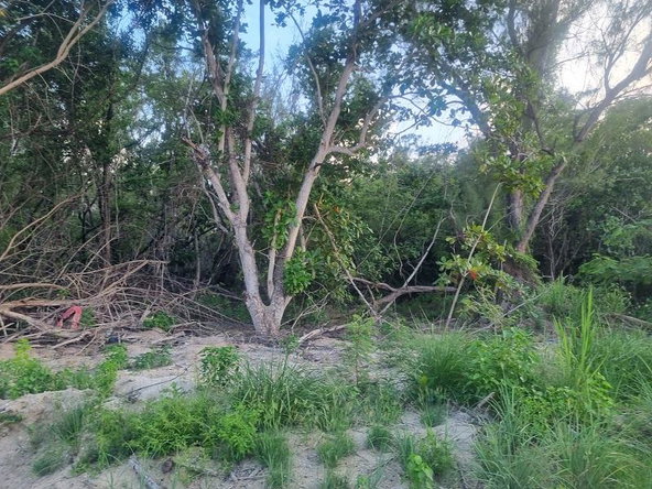 Eleventh image of 59-90 Mahoe Bay, St. James in Mahoe Bay, St. James, Jamaica - property is For Sale
