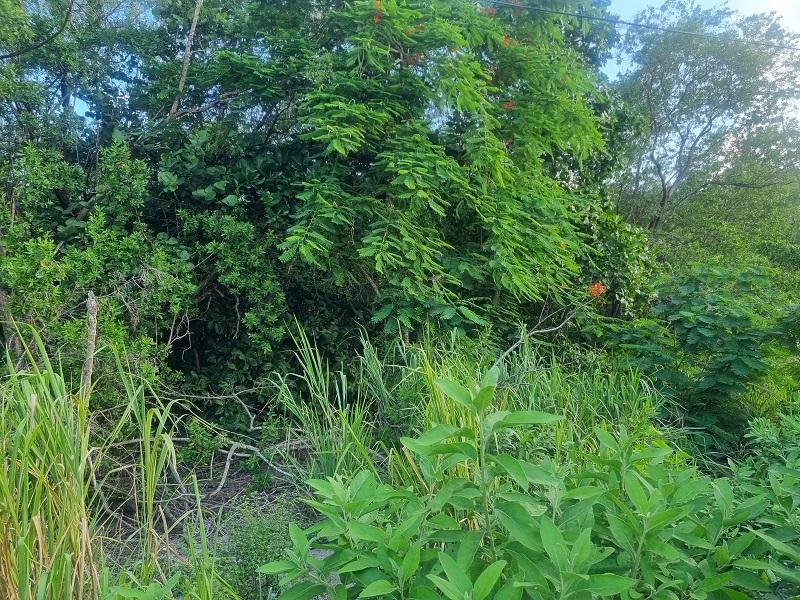 Thirteenth image of 59-90 Mahoe Bay, St. James in Mahoe Bay, St. James, Jamaica - property is For Sale
