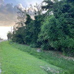 First image of 59-90 Mahoe Bay, St. James in Mahoe Bay, St. James, Jamaica - property is For Sale