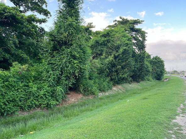 Third image of 59-90 Mahoe Bay, St. James in Mahoe Bay, St. James, Jamaica - property is For Sale