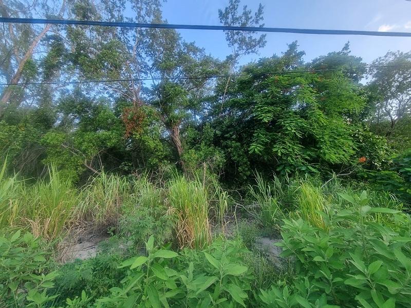 Tenth image of 59-90 Mahoe Bay, St. James in Mahoe Bay, St. James, Jamaica - property is For Sale