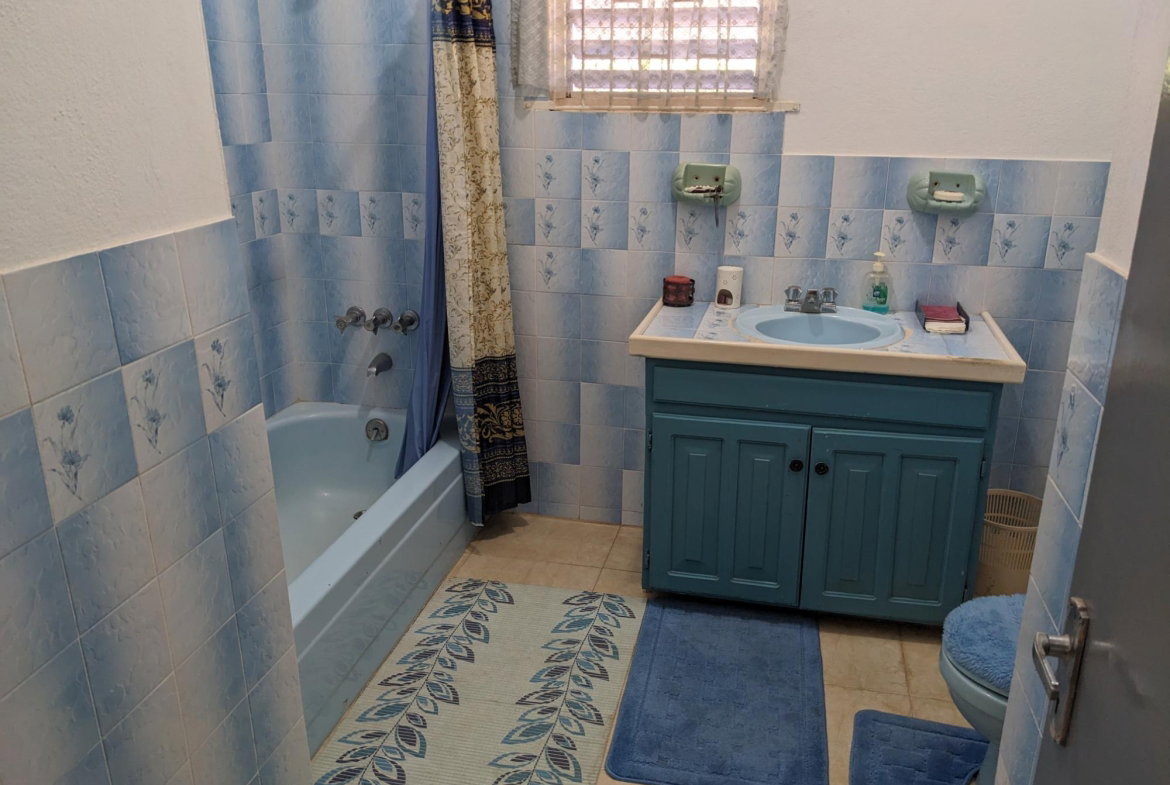 Twelfth image of River View Exchange in Ocho Rios, St. Ann, Jamaica - property is For Sale