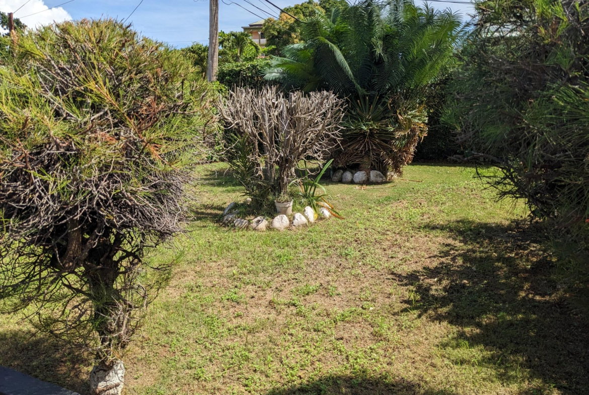 Twenty-Fifth image of River View Exchange in Ocho Rios, St. Ann, Jamaica - property is For Sale