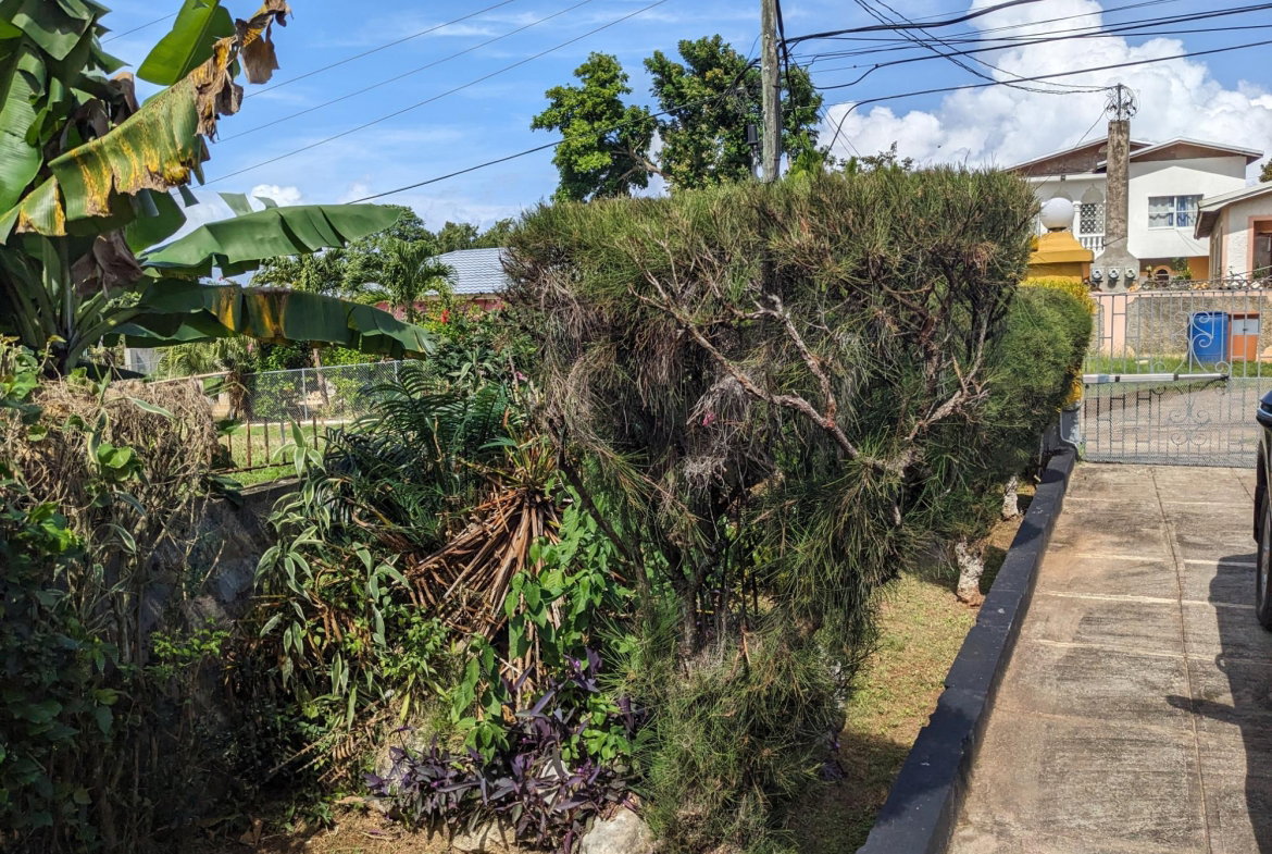 Twenty-Sixth image of River View Exchange in Ocho Rios, St. Ann, Jamaica - property is For Sale