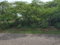 First image of Great Bay, Treasure Beach in Treasure Beach, St. Elizabeth, Jamaica - property is For Sale