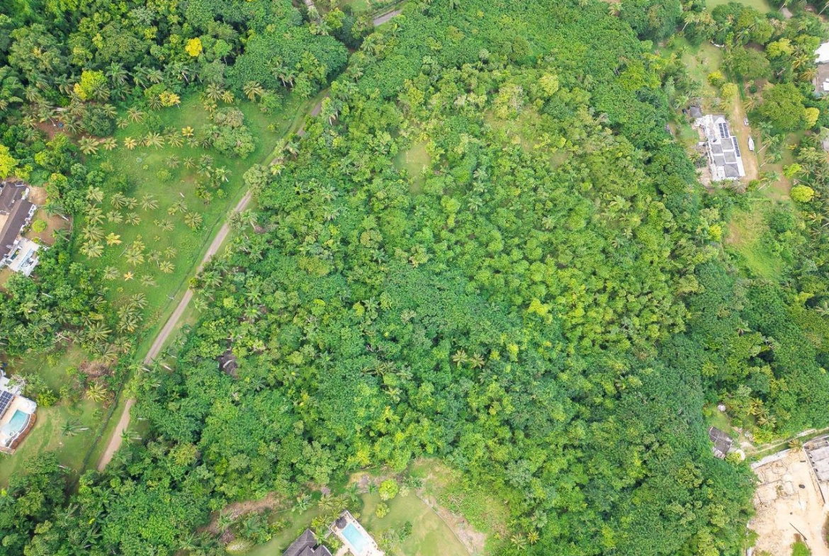 Second image of 21a Great River Est, St. Jame in Unity Hall, St. James, Jamaica - property is For Sale