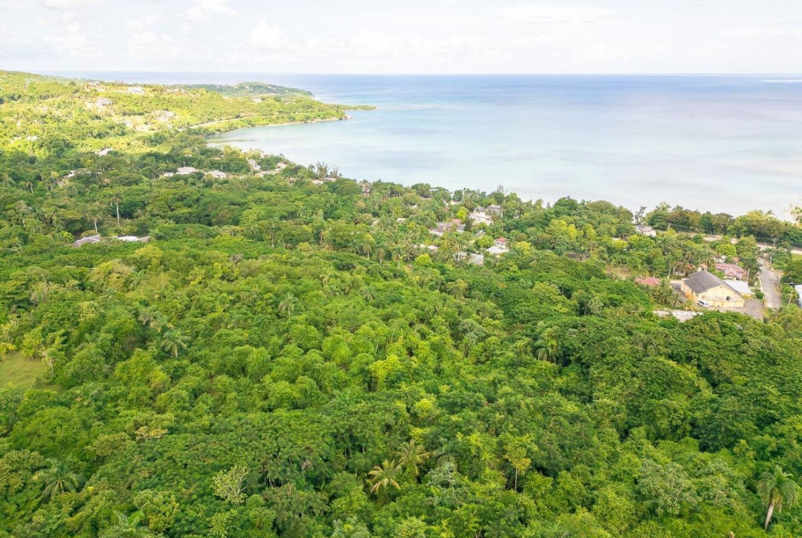 Third image of 21a Great River Est, St. Jame in Unity Hall, St. James, Jamaica - property is For Sale