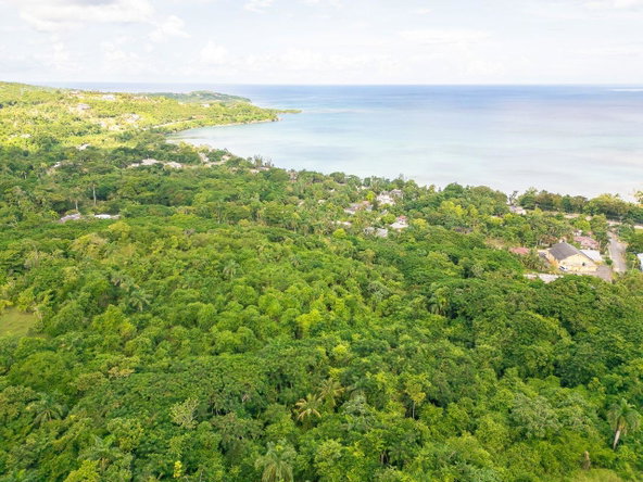 Third image of 21a Great River Est, St. Jame in Unity Hall, St. James, Jamaica - property is For Sale