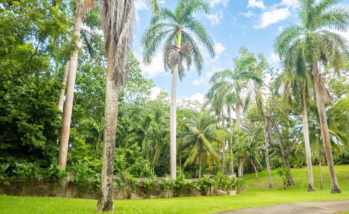 Fifth image of 21a Great River Est, St. Jame in Unity Hall, St. James, Jamaica - property is For Sale