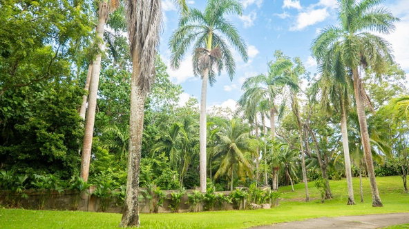 Fifth image of 21a Great River Est, St. Jame in Unity Hall, St. James, Jamaica - property is For Sale