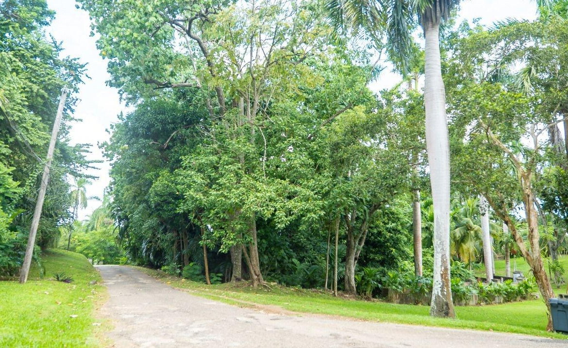 Sixth image of 21a Great River Est, St. Jame in Unity Hall, St. James, Jamaica - property is For Sale