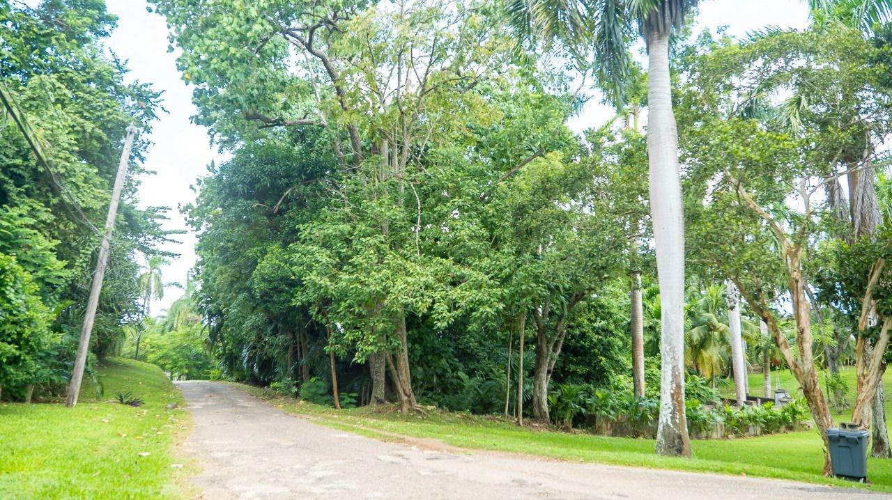 Exclusive-2.86-Acre-Residential-Lot-in-Great-River-Estate-Jamaica Sixth image of 21a Great River Est, St. Jame in Unity Hall, St. James, Jamaica - property is For Sale