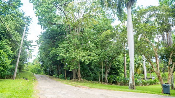 Sixth image of 21a Great River Est, St. Jame in Unity Hall, St. James, Jamaica - property is For Sale