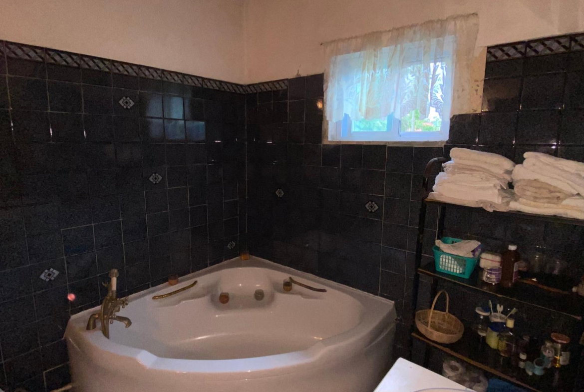 Seventeenth image of Red Hassel Road, Port Ant in Port Antonio, Portland, Jamaica - property is For Sale