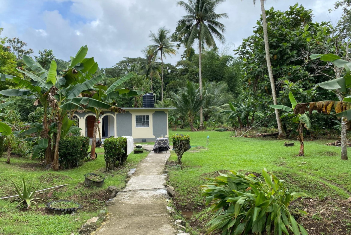 Twenty-First image of Red Hassel Road, Port Ant in Port Antonio, Portland, Jamaica - property is For Sale