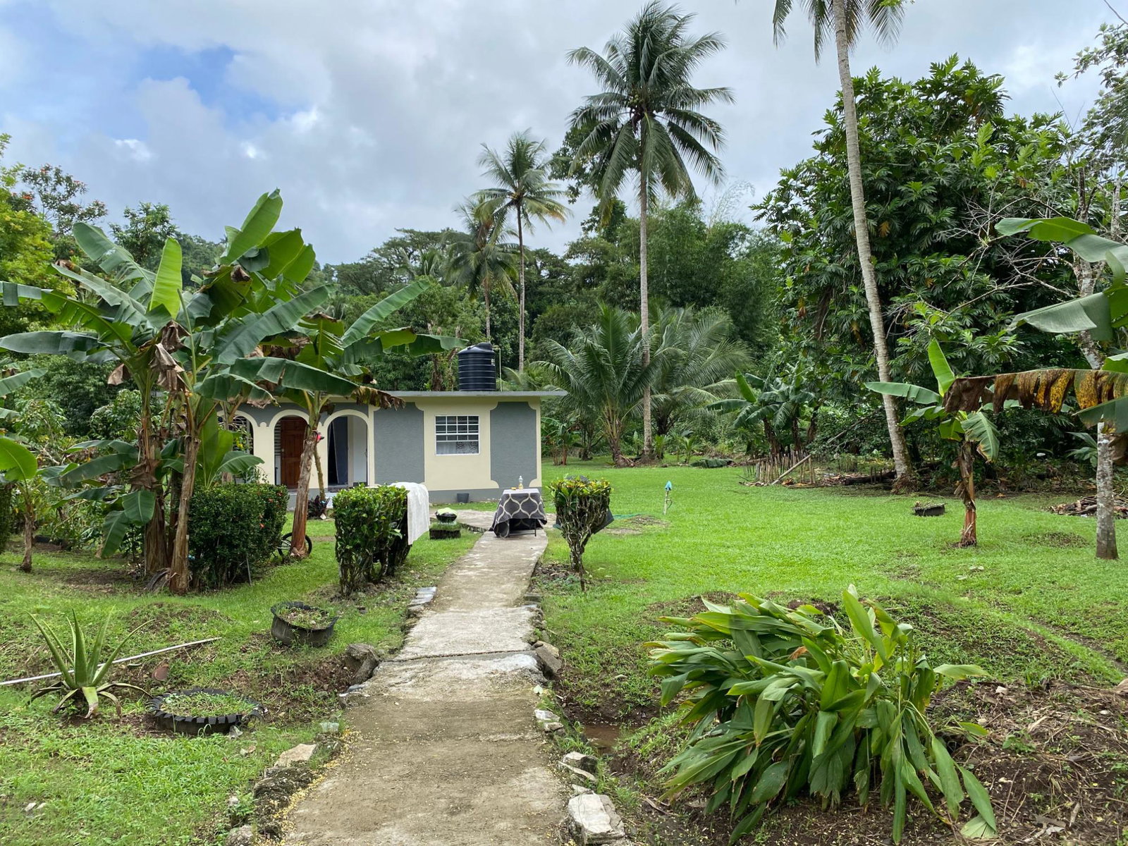 Twenty-First image of Red Hassel Road, Port Ant in Port Antonio, Portland, Jamaica - property is For Sale