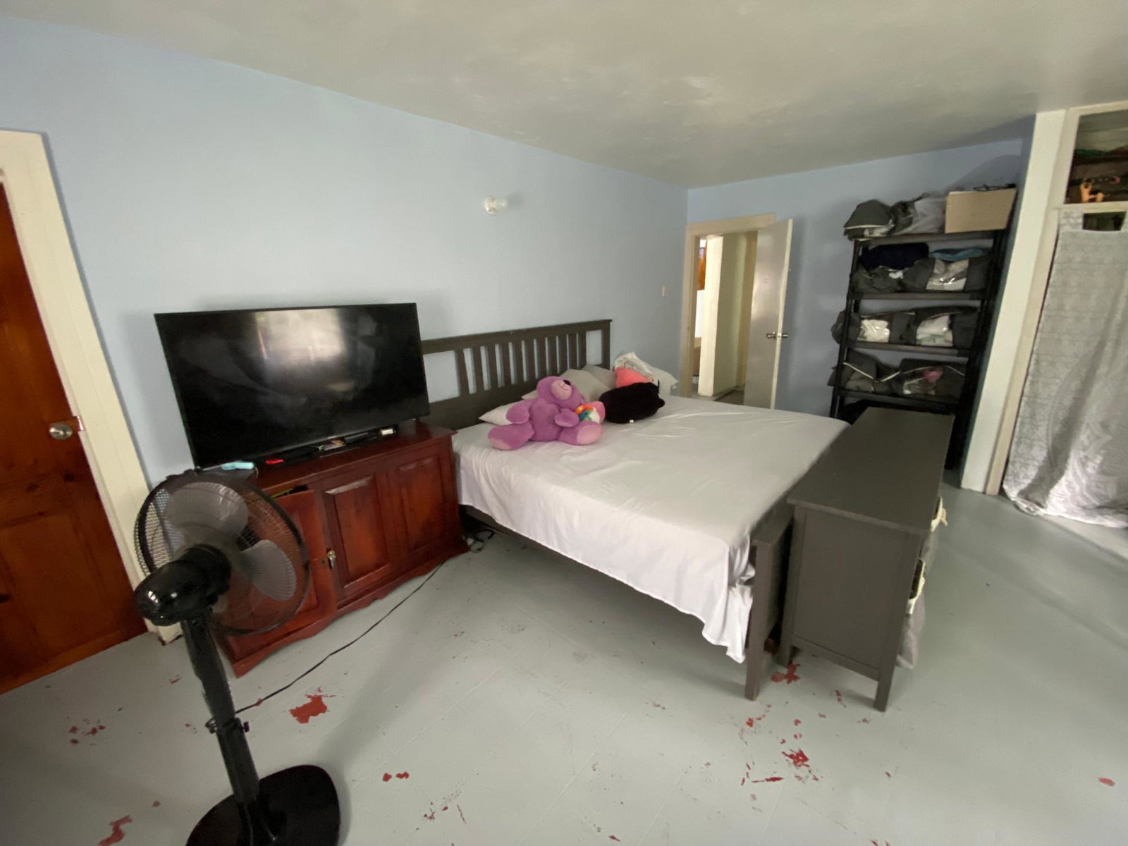 Twenty-Second image of Red Hassel Road, Port Ant in Port Antonio, Portland, Jamaica - property is For Sale