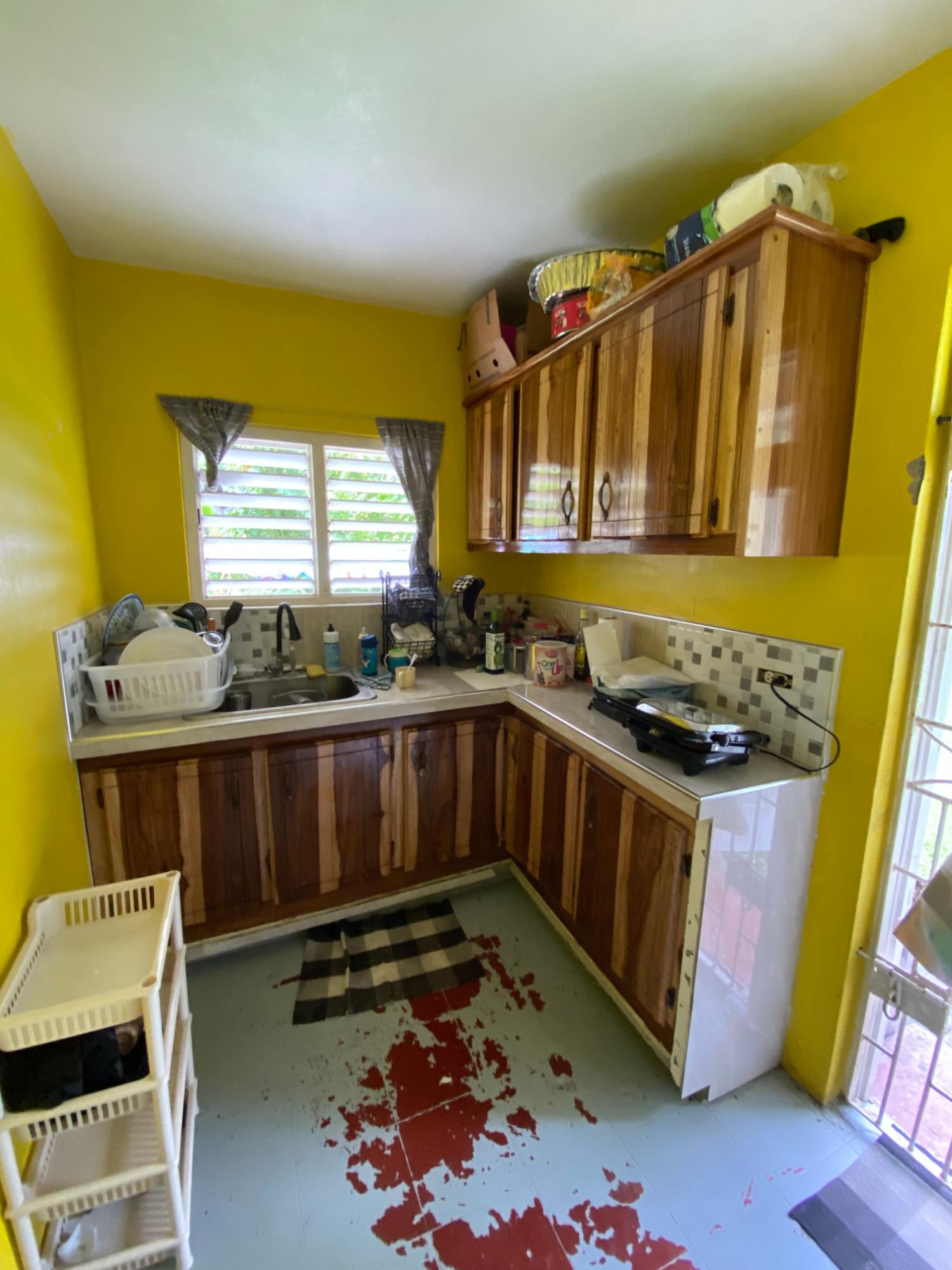 Twenty-Fourth image of Red Hassel Road, Port Ant in Port Antonio, Portland, Jamaica - property is For Sale