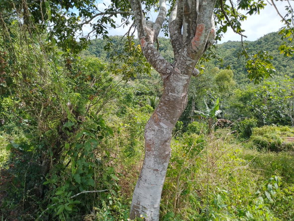 Third image of Keith Hall in Jackson, St. Catherine, Jamaica - property is For Sale