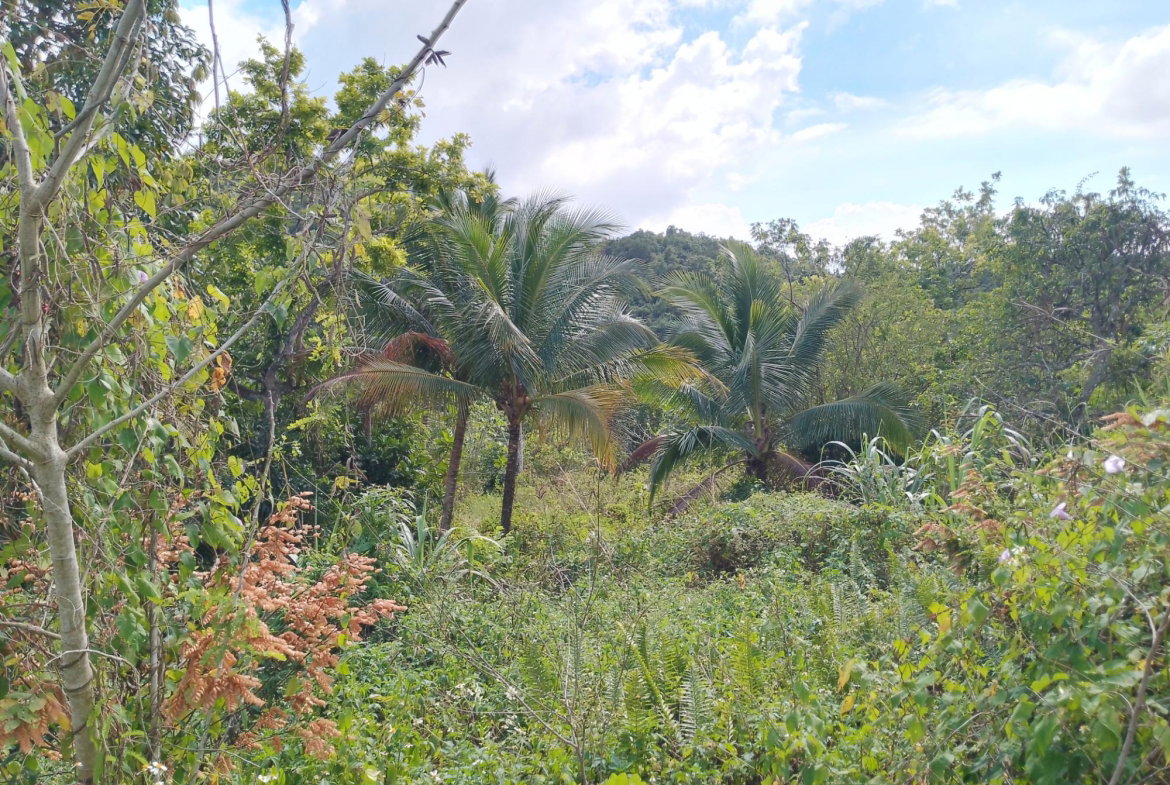 Sixth image of Keith Hall in Jackson, St. Catherine, Jamaica - property is For Sale