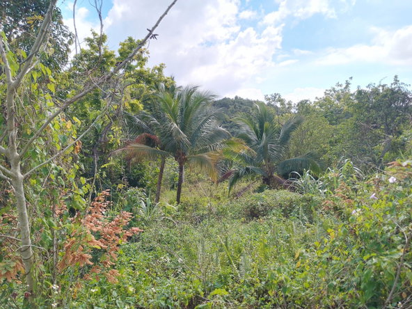 Sixth image of Keith Hall in Jackson, St. Catherine, Jamaica - property is For Sale