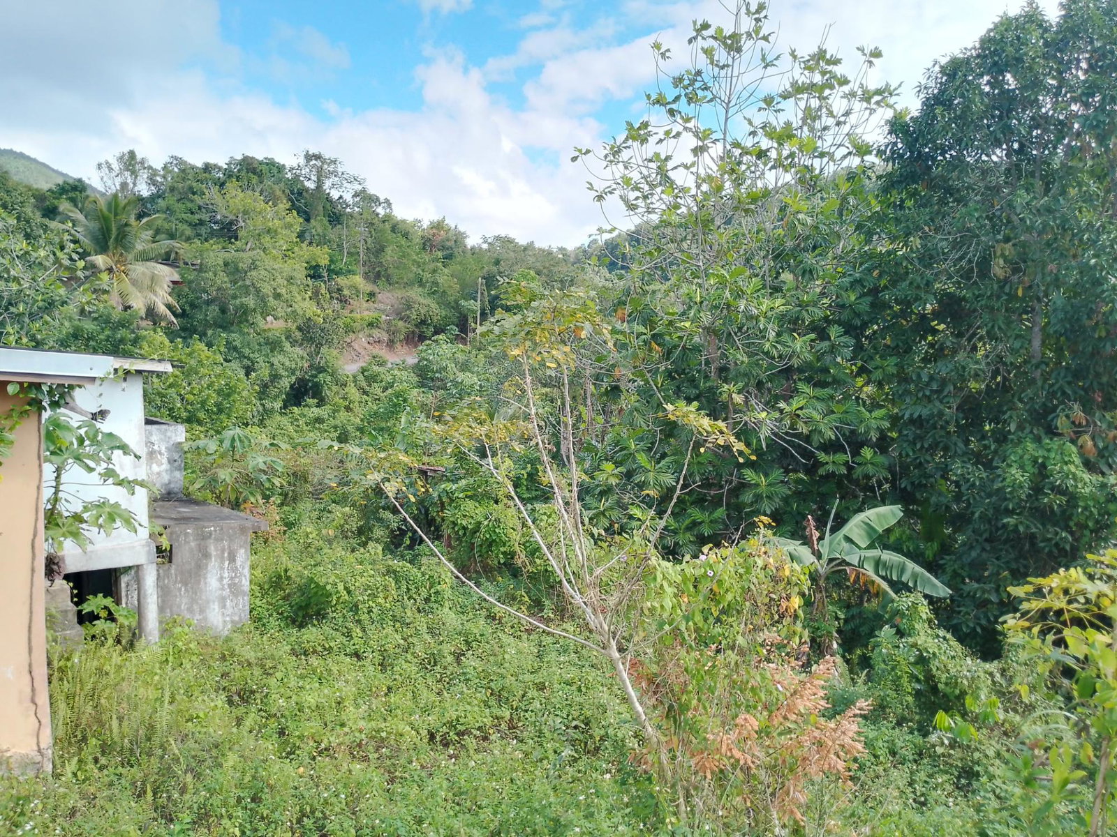 Seventh image of Keith Hall in Jackson, St. Catherine, Jamaica - property is For Sale