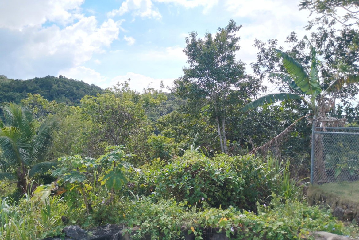 Eighth image of Keith Hall in Jackson, St. Catherine, Jamaica - property is For Sale
