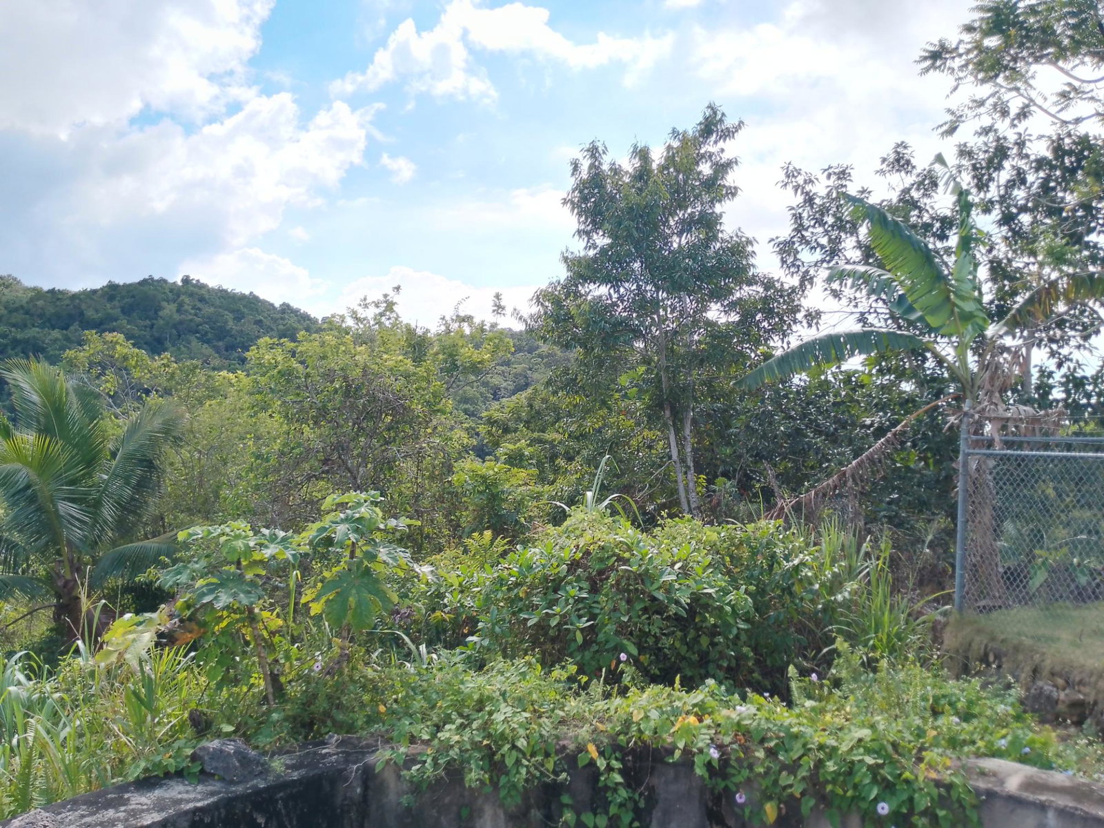 Eighth image of Keith Hall in Jackson, St. Catherine, Jamaica - property is For Sale