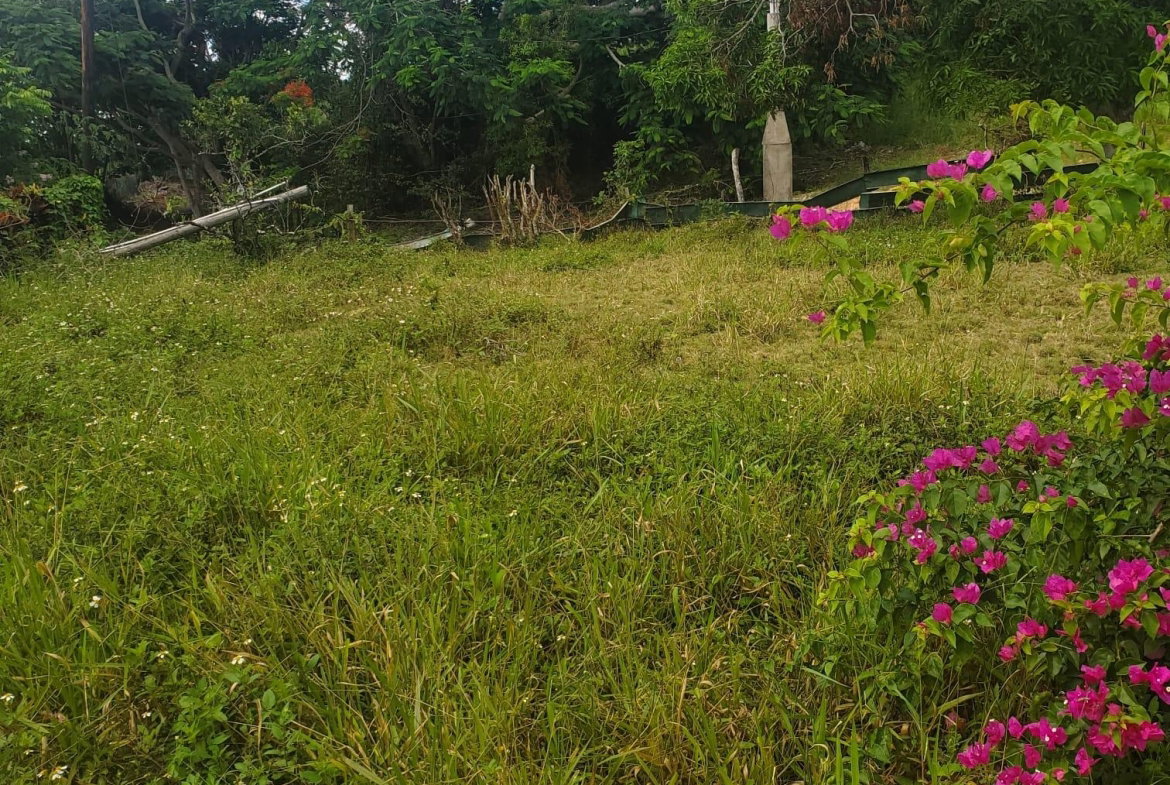 Eleventh image of Mount Pleasant, Hampton in Malvern, St. Elizabeth, Jamaica - property is For Sale