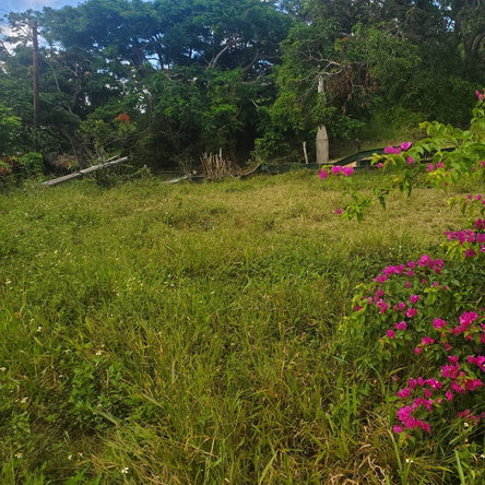 Eleventh image of Mount Pleasant, Hampton in Malvern, St. Elizabeth, Jamaica - property is For Sale