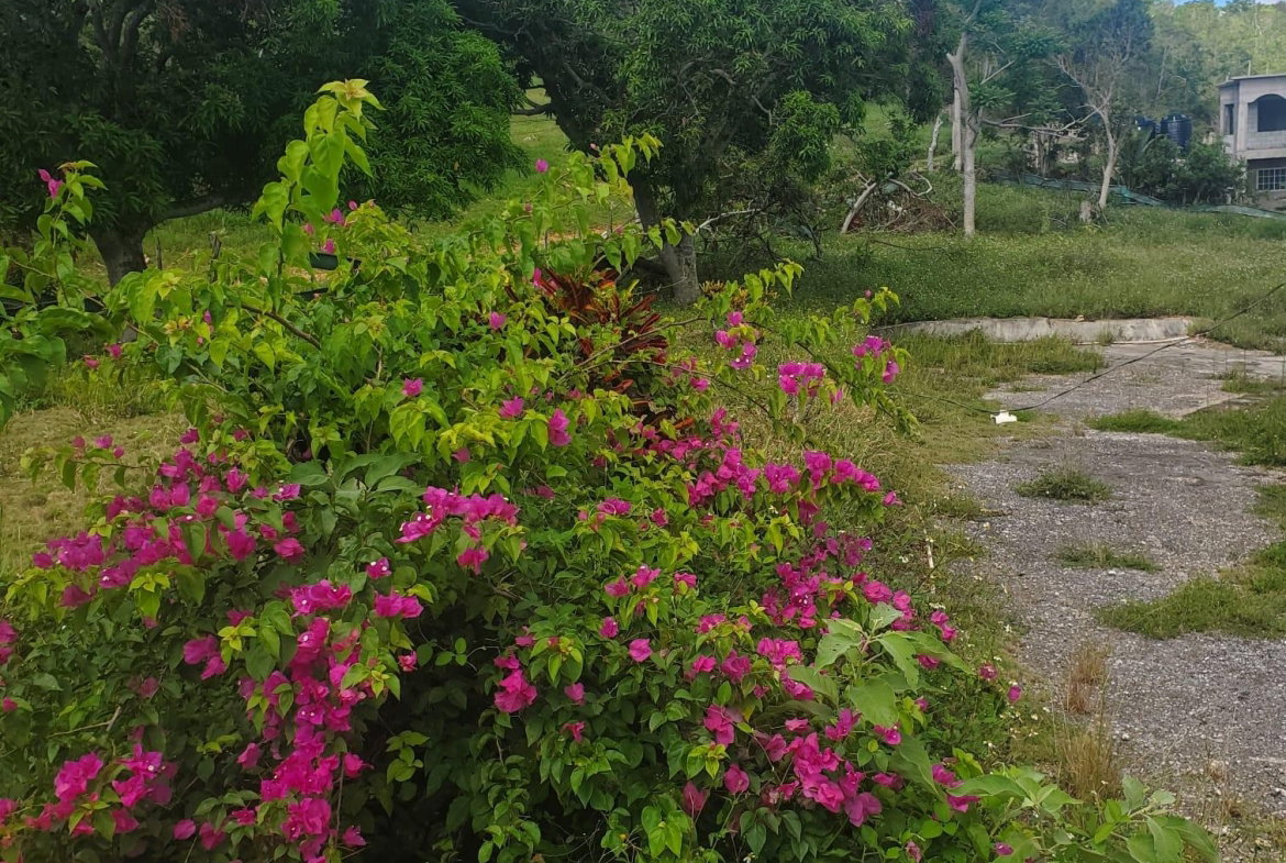 Twelfth image of Mount Pleasant, Hampton in Malvern, St. Elizabeth, Jamaica - property is For Sale