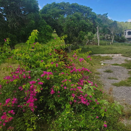 Twelfth image of Mount Pleasant, Hampton in Malvern, St. Elizabeth, Jamaica - property is For Sale