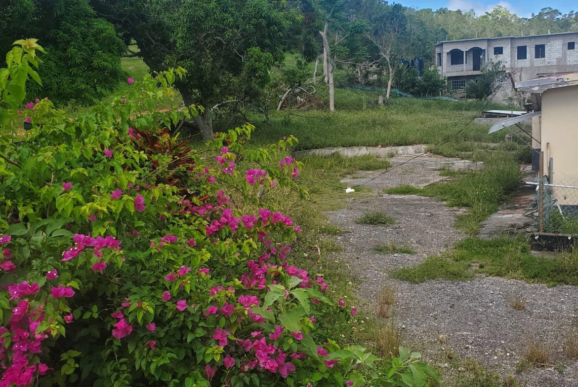 Thirteenth image of Mount Pleasant, Hampton in Malvern, St. Elizabeth, Jamaica - property is For Sale