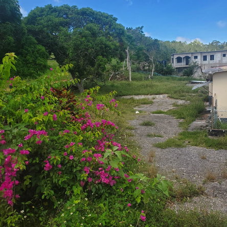 Thirteenth image of Mount Pleasant, Hampton in Malvern, St. Elizabeth, Jamaica - property is For Sale
