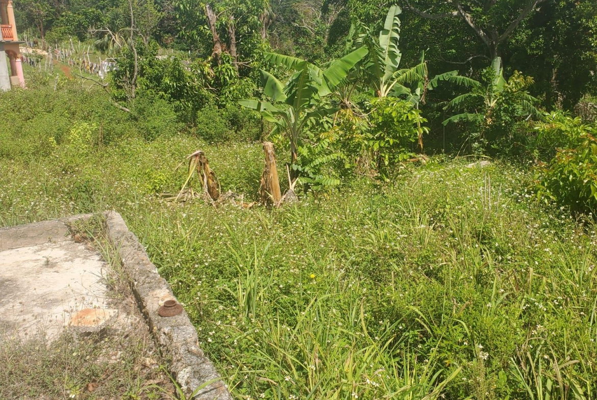 Fourteenth image of Mount Pleasant, Hampton in Malvern, St. Elizabeth, Jamaica - property is For Sale