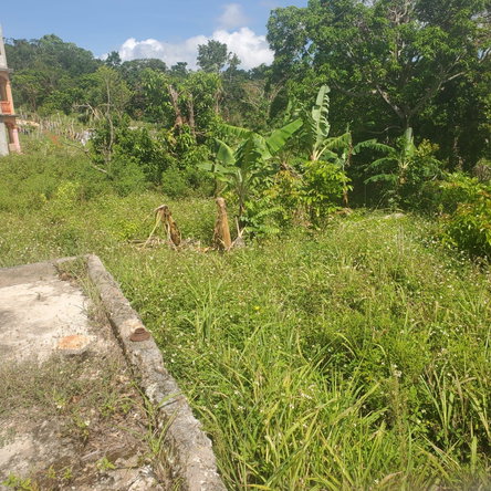 Fourteenth image of Mount Pleasant, Hampton in Malvern, St. Elizabeth, Jamaica - property is For Sale