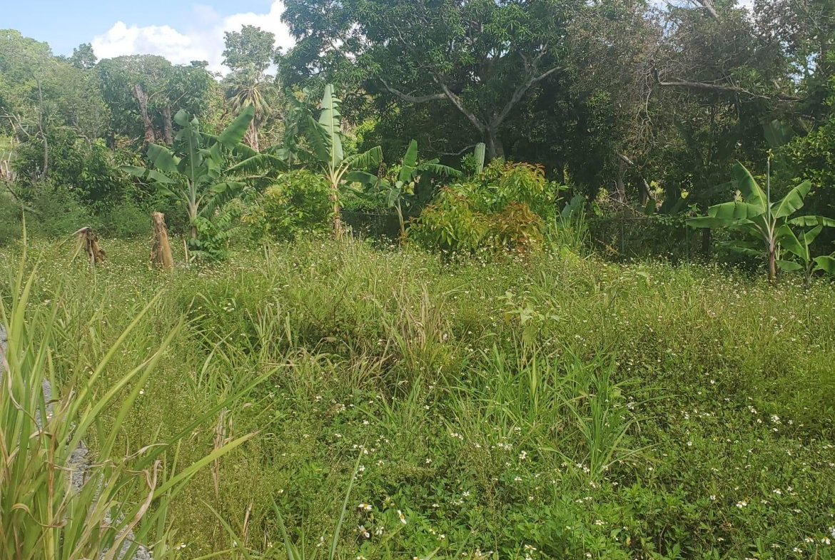 Fifteenth image of Mount Pleasant, Hampton in Malvern, St. Elizabeth, Jamaica - property is For Sale