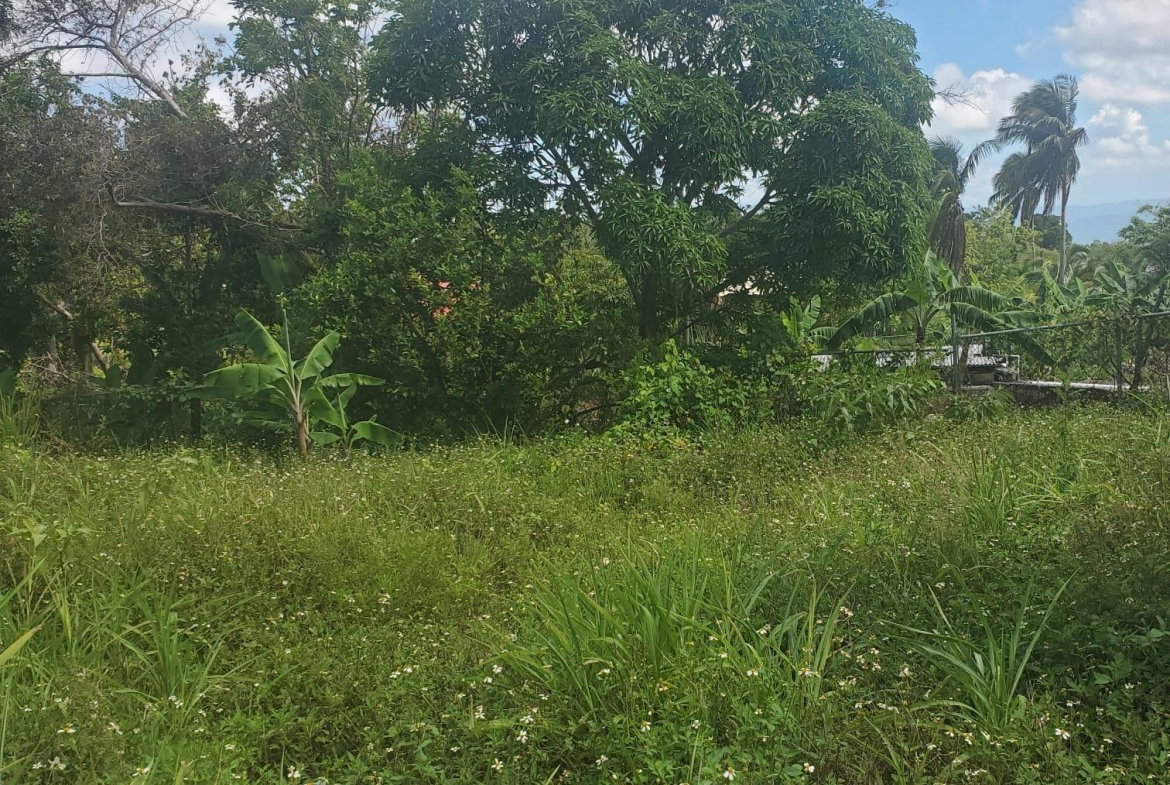 Sixteenth image of Mount Pleasant, Hampton in Malvern, St. Elizabeth, Jamaica - property is For Sale